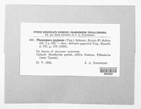 Image Associated With the Occurence
